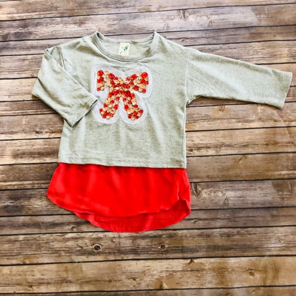 45. Girls cute gray/red longsleeve top! Size 12